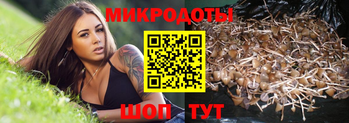 Псилоцибиновые грибы MAGIC MUSHROOMS Бор